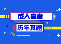 东营成人高考英语语法复习方法